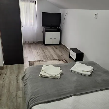 Casa Radu Apartment Cirlibaba
