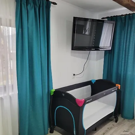 Apartment Casa Radu *
