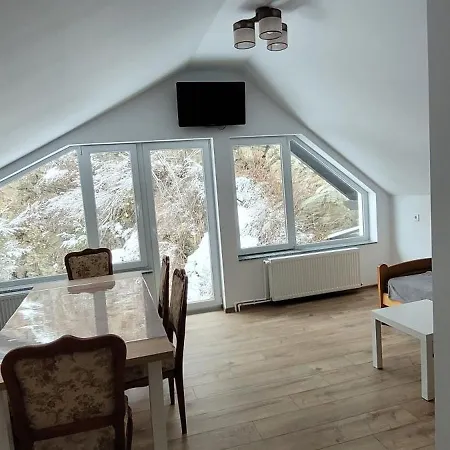 Casa Radu Apartment